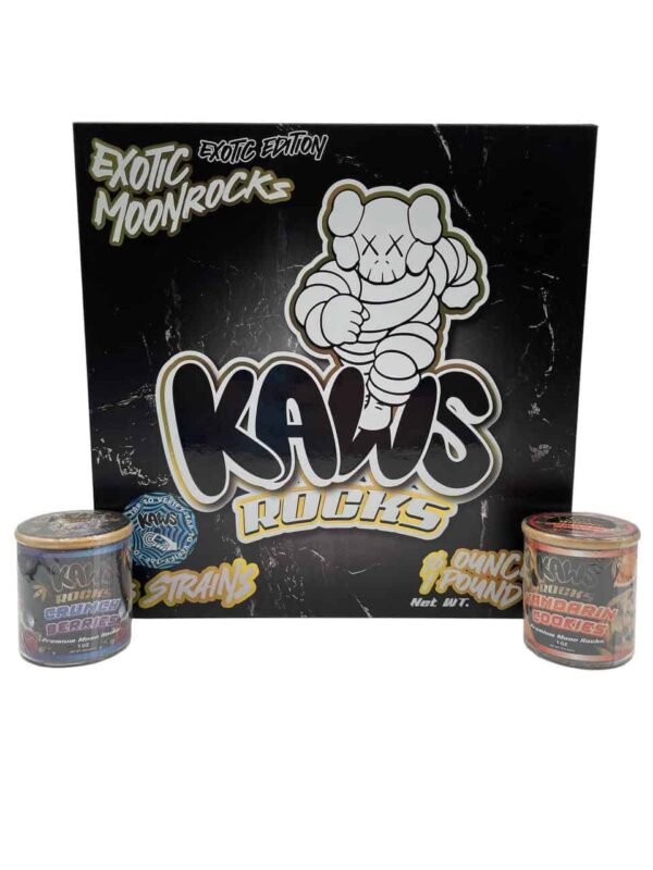 KAWS EXOTIC MOONROCKS - Image 2