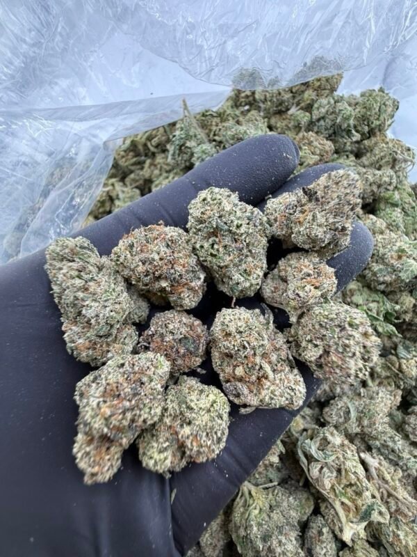 pink berry strain