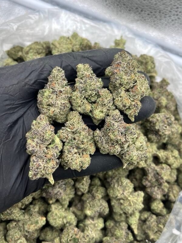 Grape Sprite