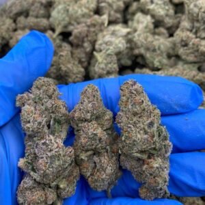 Astro Candy strain