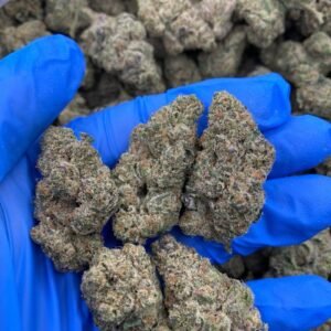 Blue Meteorite strain