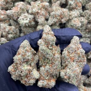 JACK HERER