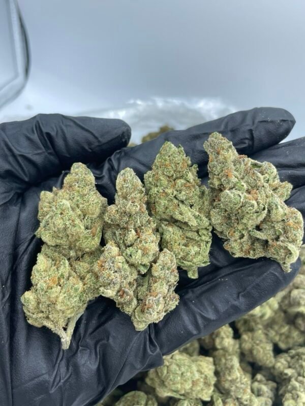 Icy Lemon mixed lights 🍋❄️