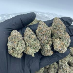 Skittlez Runtz 🍬🔥