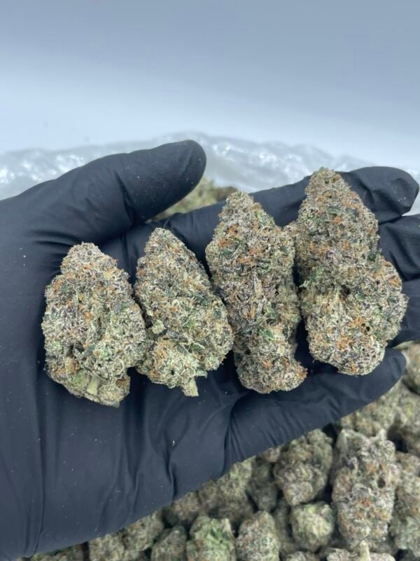 Skittlez Runtz 🍬🔥