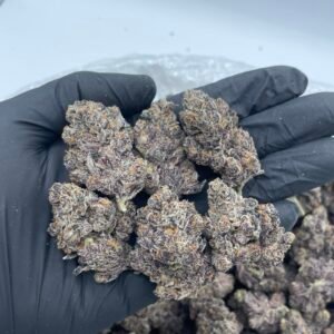 Purple Jam 🍇🔥