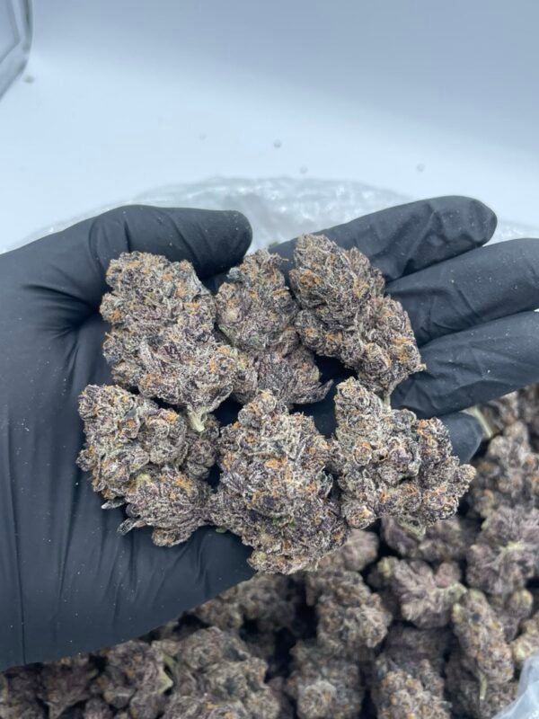 Purple Jam 🍇🔥