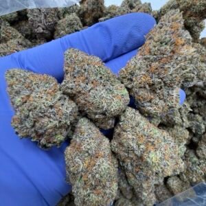 Jet Fuel