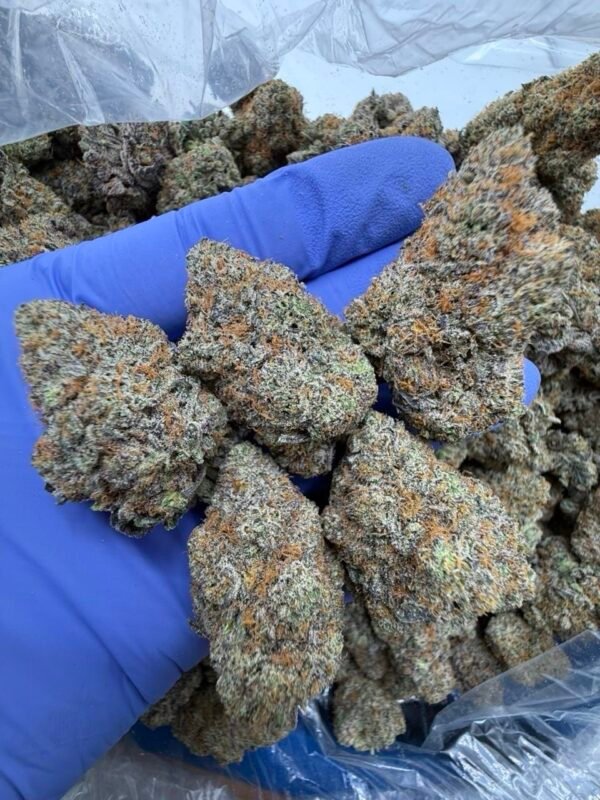 Jet Fuel
