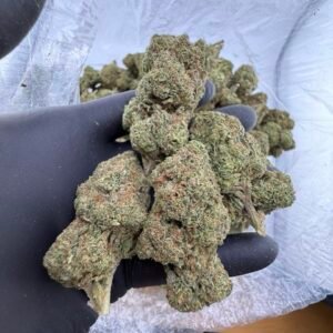 Black Cherry Gelato