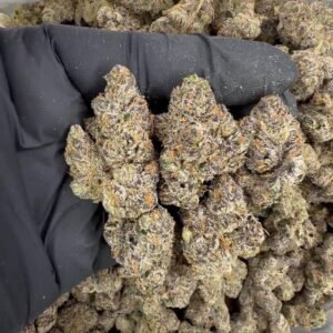 Pink Runtz (Indoor Exotics)